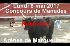 2017 05 08 Raphelois manade Navarro