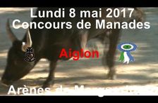 2017 05 08 Aiglon manade Fabre Mailhan