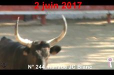 2017 06 02 n 244 manade Blanc