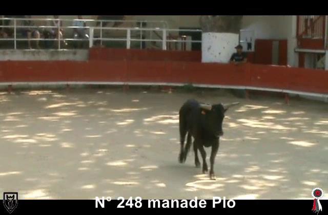 2017 06 02 n 248 manade Plo