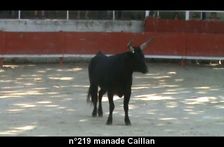 2017 06 02 n 219 manade Caillan