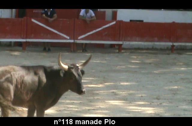 2017 06 02 n 118 manade Plo