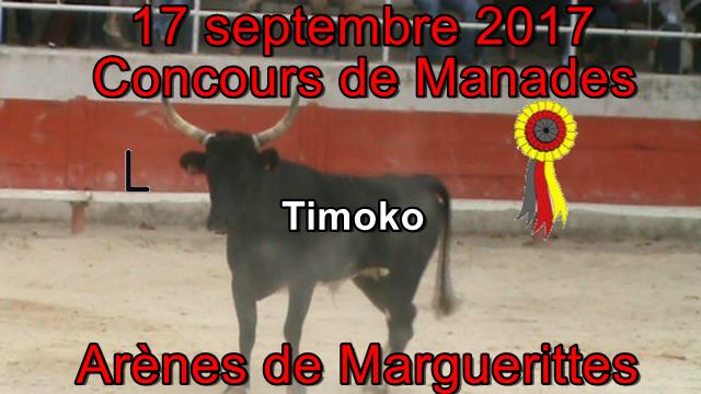 2017 09 17 Timoko