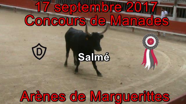 2017 09 17 Salme