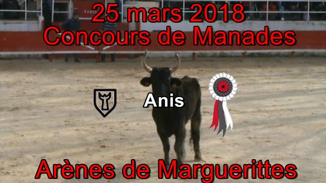 2018 03 25 Anis