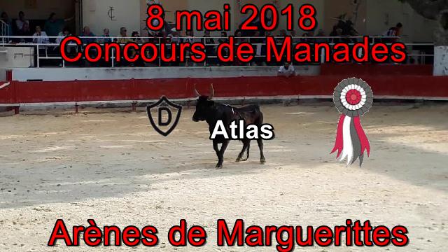 2018 05 08 Atlas