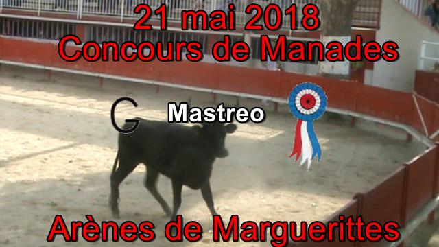 2018 05 21 Maestro