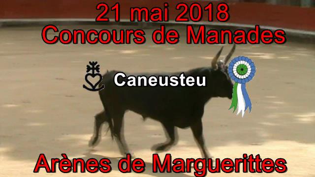 2018 05 21 Caneusteu