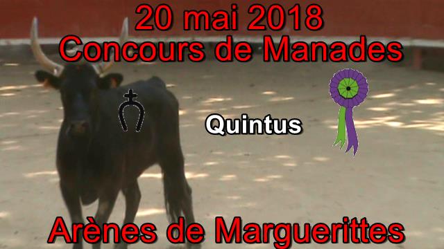 2018 05 20 Quintus
