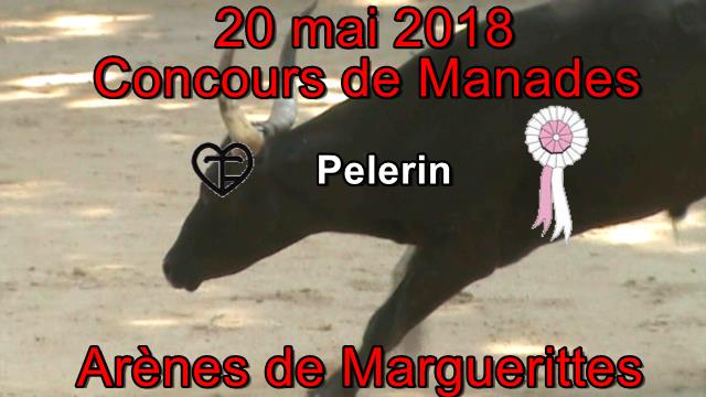2018 05 20 Pelerin