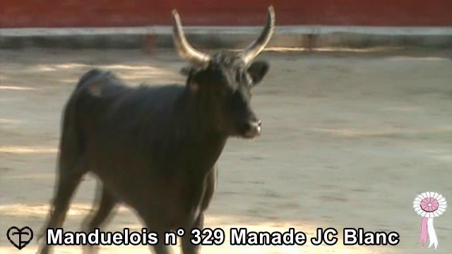 2018 07 28 Manduelois n 239 Manade JC Blanc