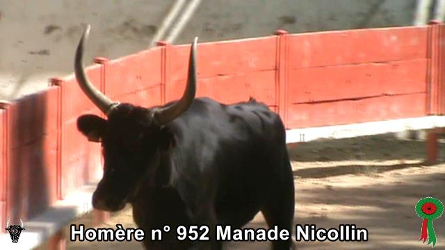 Homere n 952 Manade Nicollin