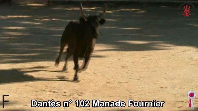 Dantes n 102 Manade Fournier