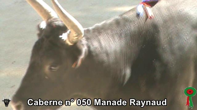 Caberne n 050 Manade Raynaud