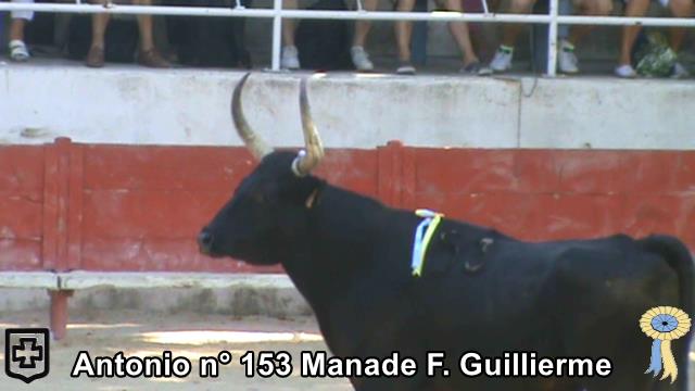 Antonio n 153 Manade F Guillierme