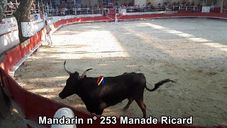 Mandarin n 253 Manade Ricard