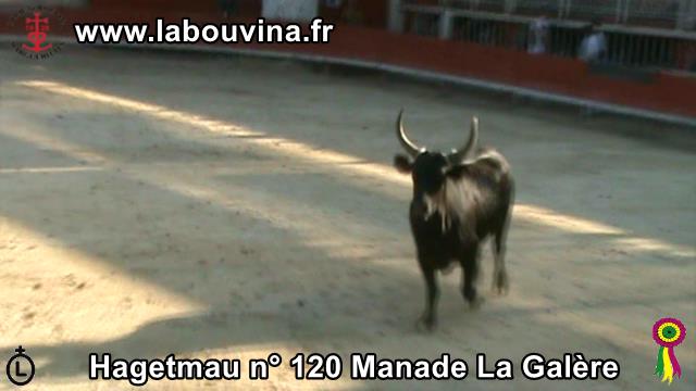 Hagetmau n 120 Manade La Galere