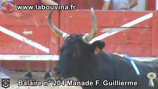 Balaire n 204 Manade F Guillierme