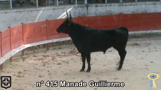 2018 09 15 n 415 manade Guillierme