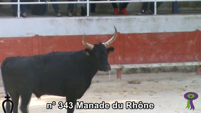 2018 09 15 n 343 Manade du Rhone