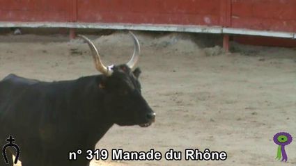 2018 09 15 n 319 Manade du Rhone