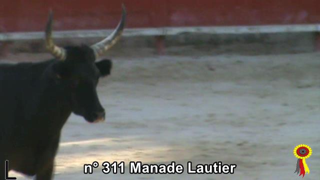 2018 09 15 n 311 manade Lautier