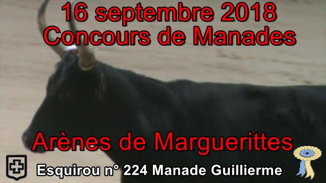 2018 09 16 Esquirou n 224 Manade Guillierme