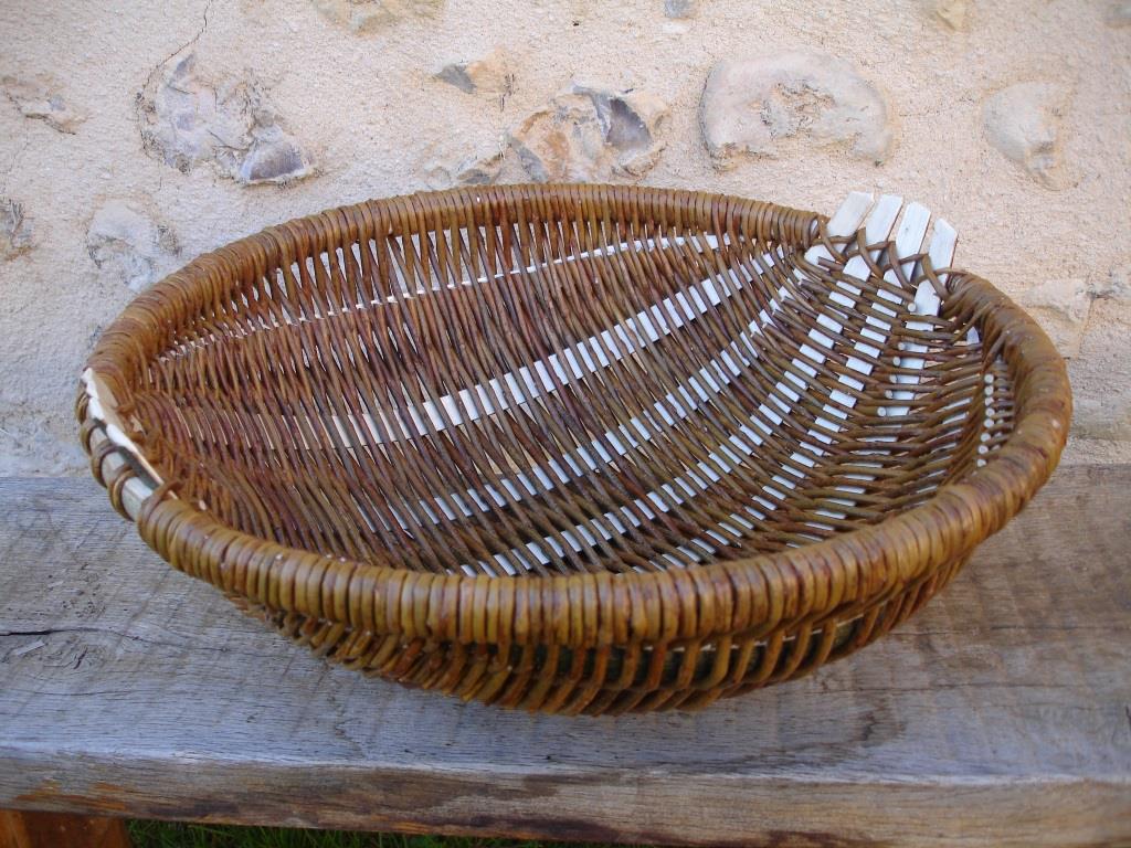 Dsc03983