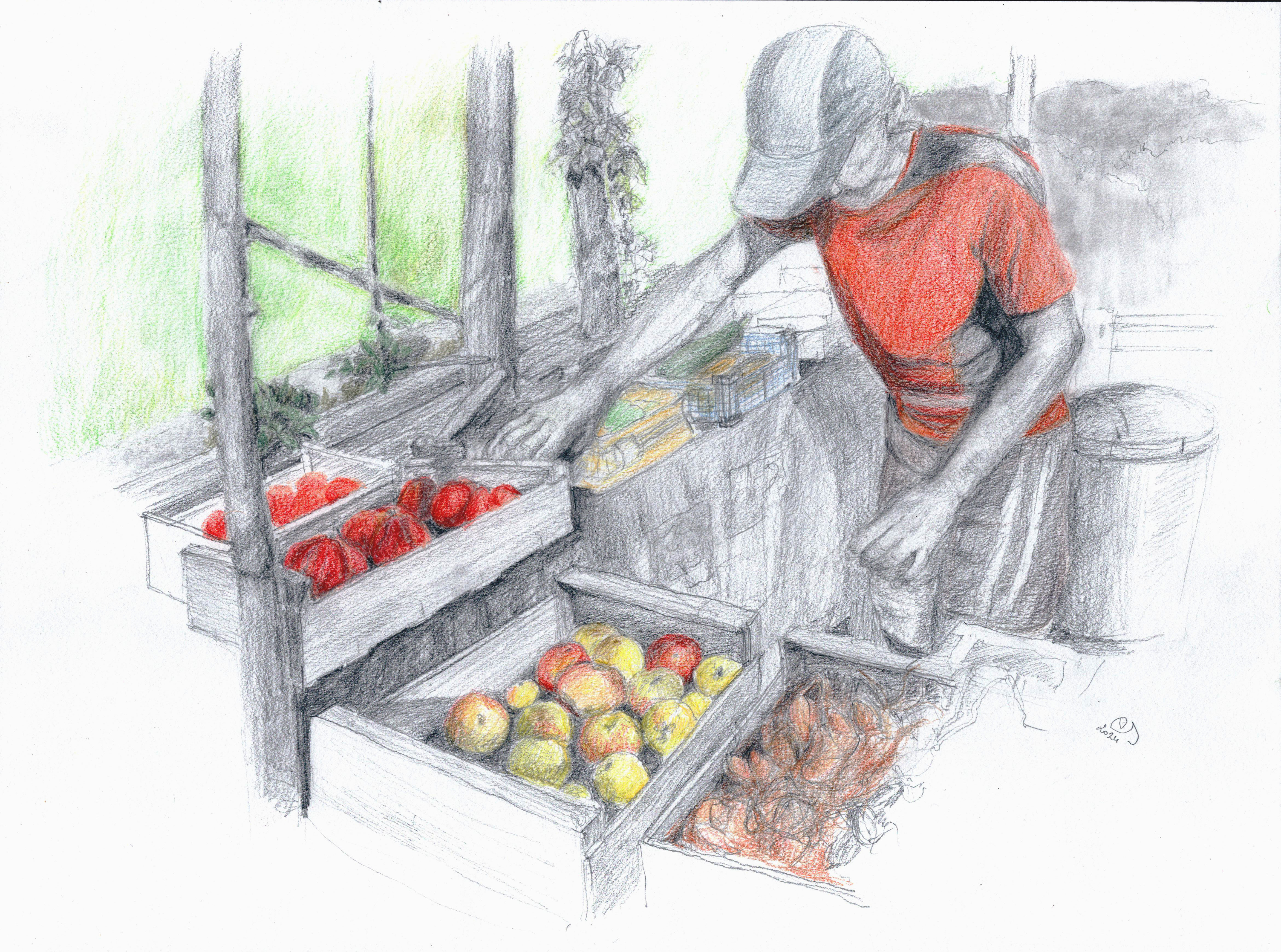 Fabrice et le gumes en cagettes