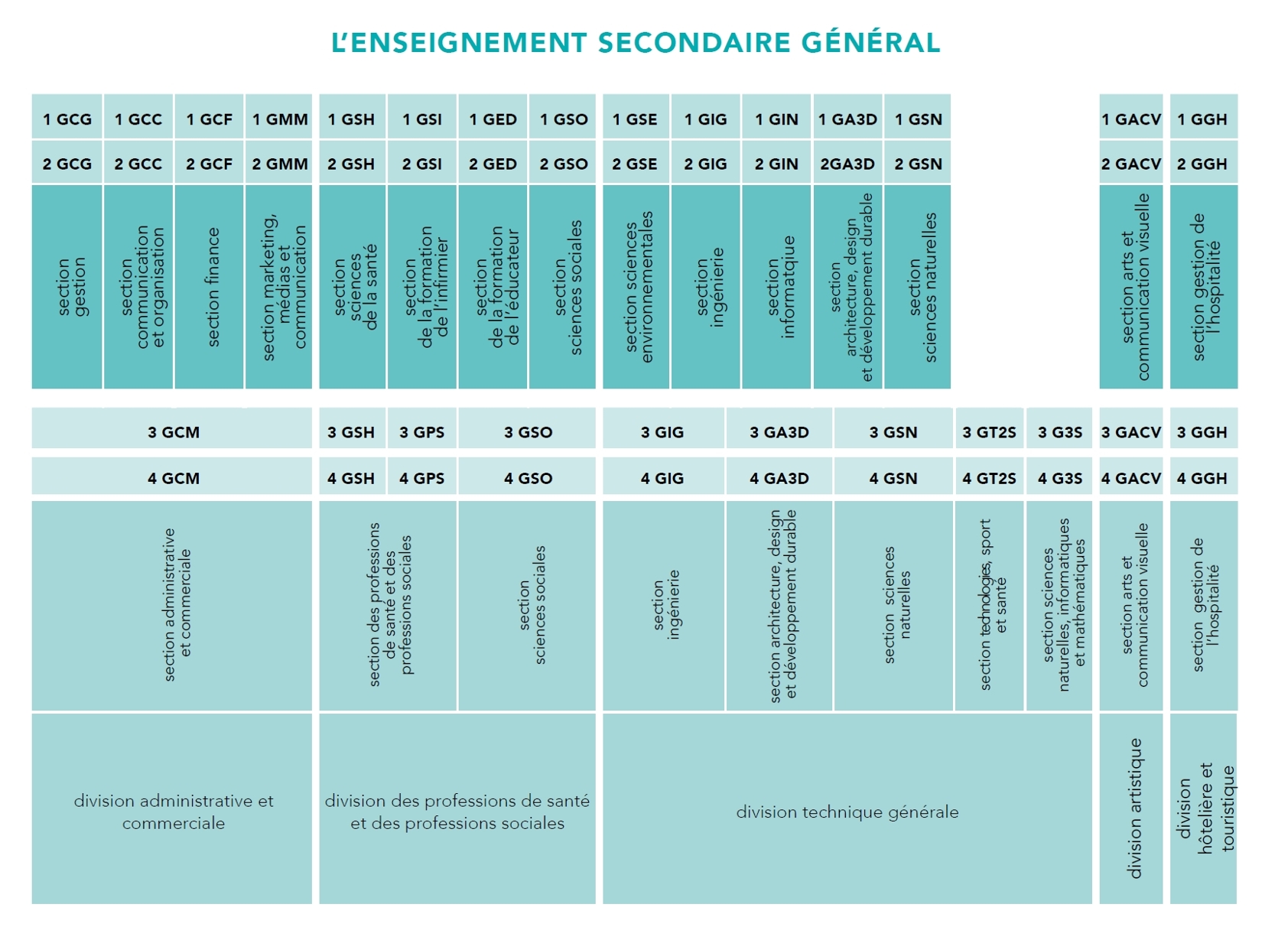Organigramme-esg-2025