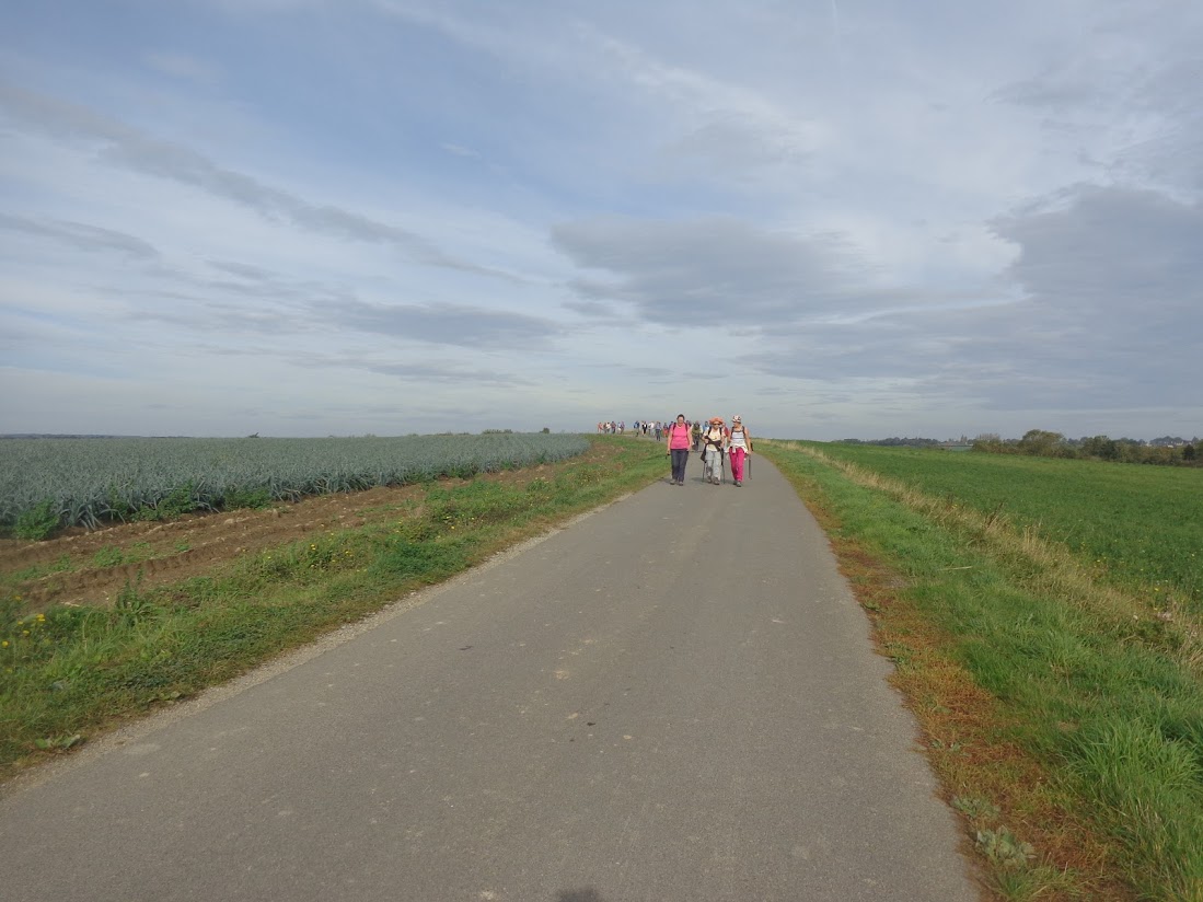 Saint suliac 15