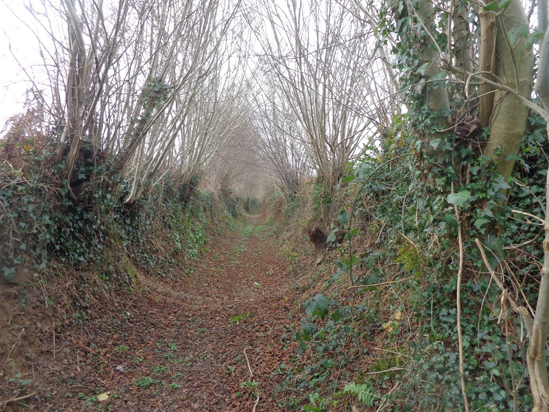 Montpinchon 11