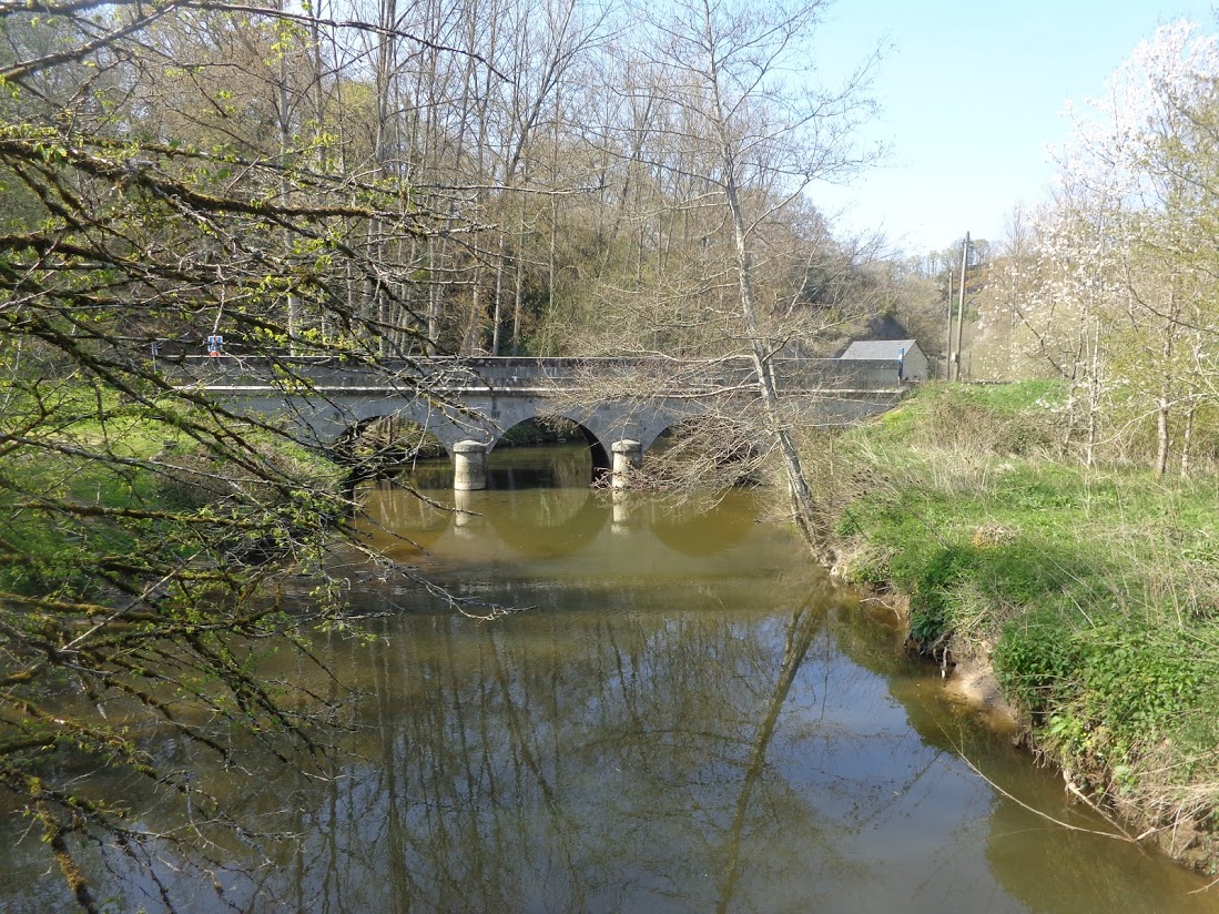 Couesnon 14