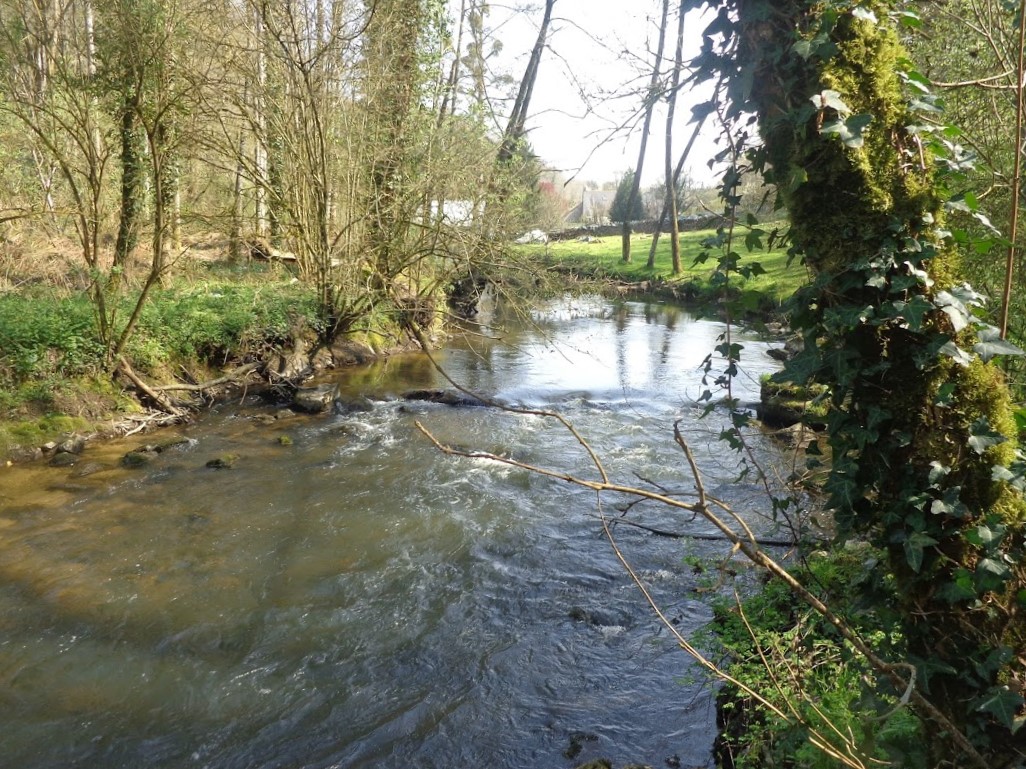 Couesnon 09