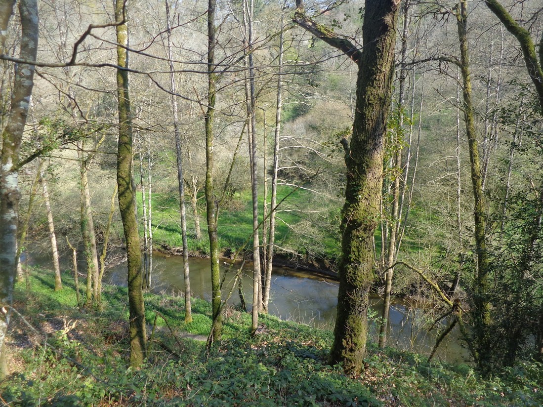 Couesnon 04