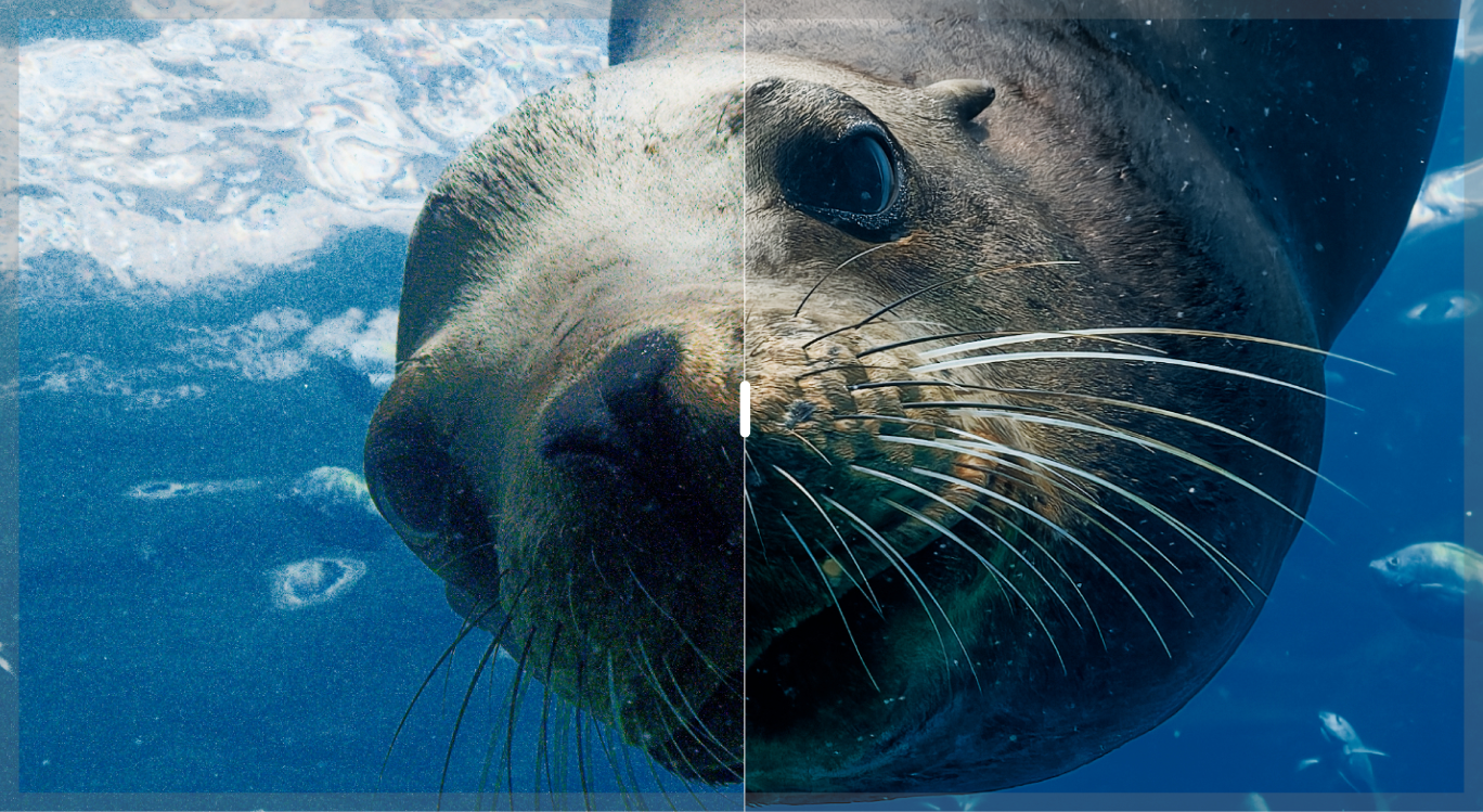 Illustration with without 009 dxo pureraw6 march2026 credit agathepoupeney