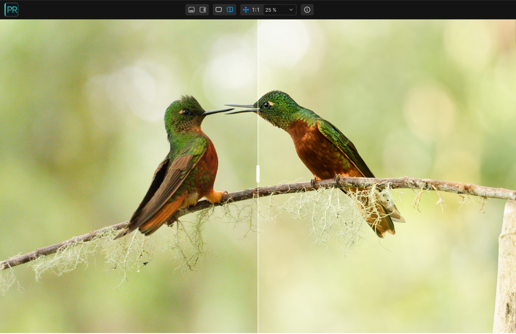 Illustration with without 007 dxo pureraw6 march2026 credit petrbambousek