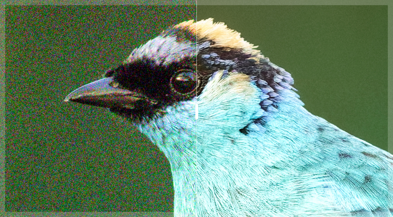 Illustration with without 006 dxo pureraw6 march2026 credit petrbambousek