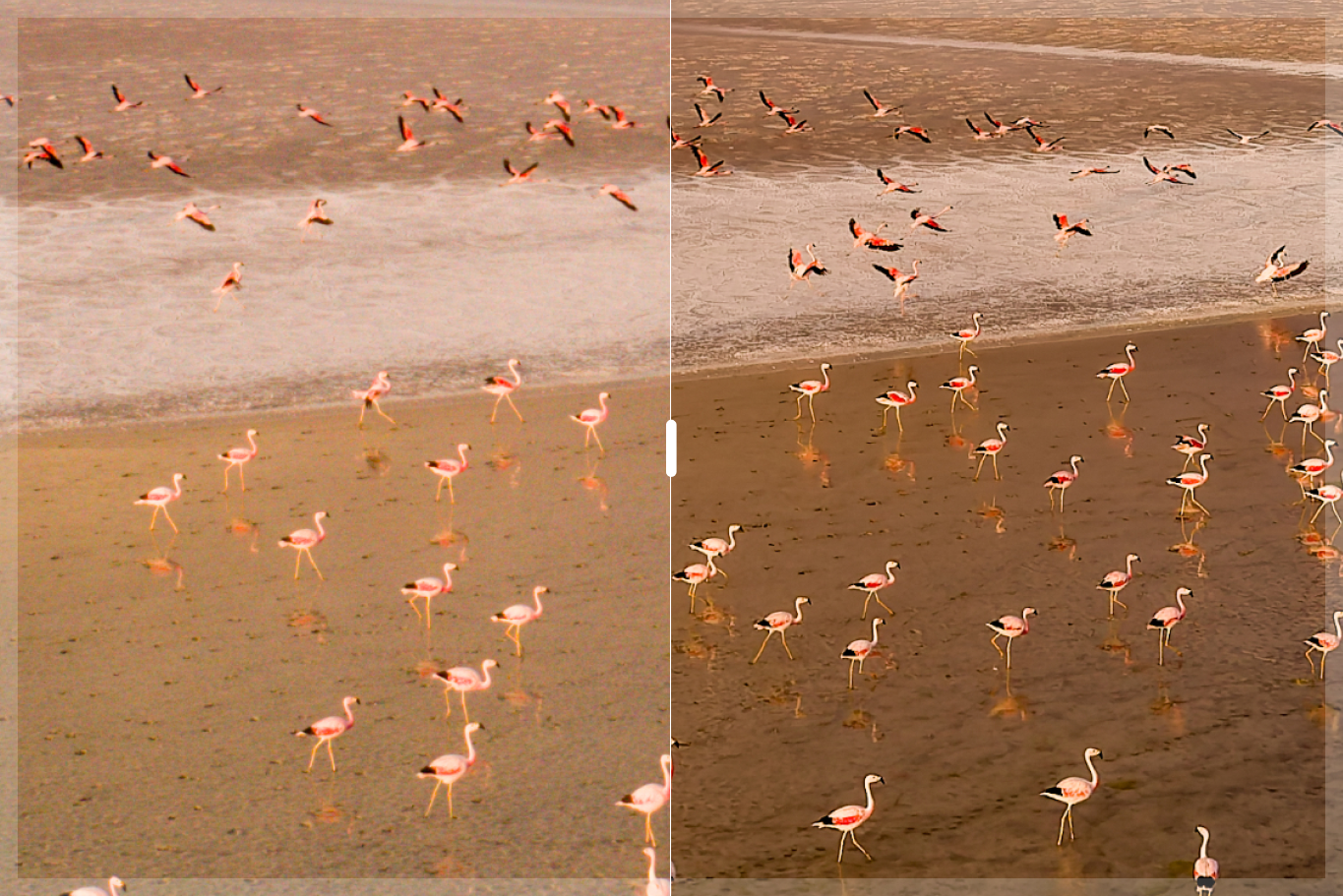 Illustration with without 005 dxo pureraw6 march2026 credit stefanforster