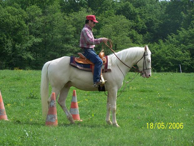 Dallas reculer entre plots