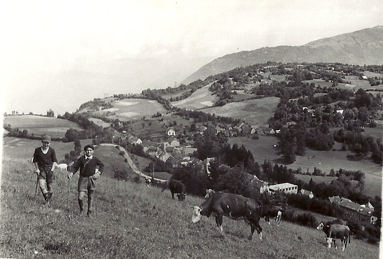 Enchampslesvaches aout1951 hb