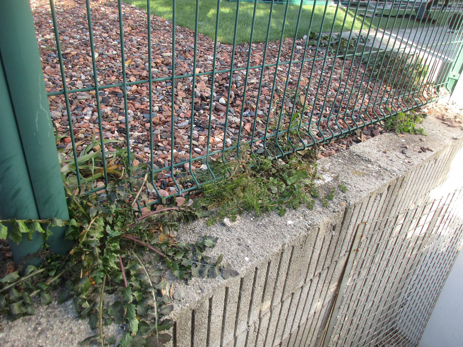 Desherbage thermique cloture jardin