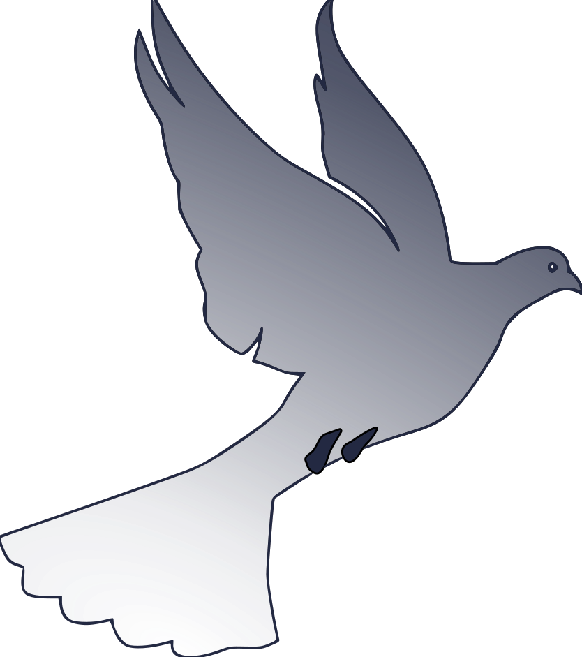 Pigeon 1degrade