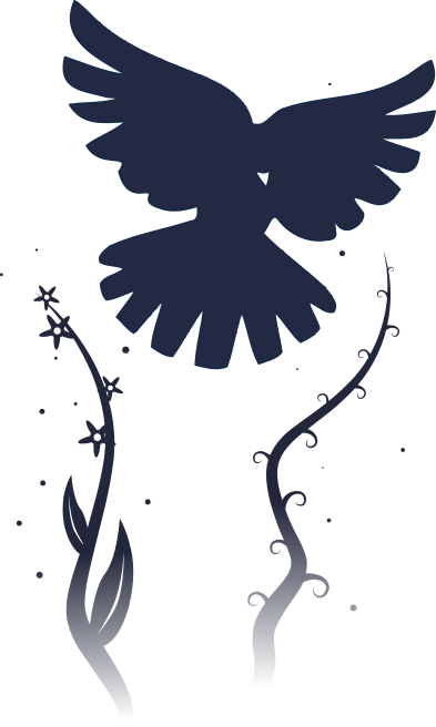 Deco 2