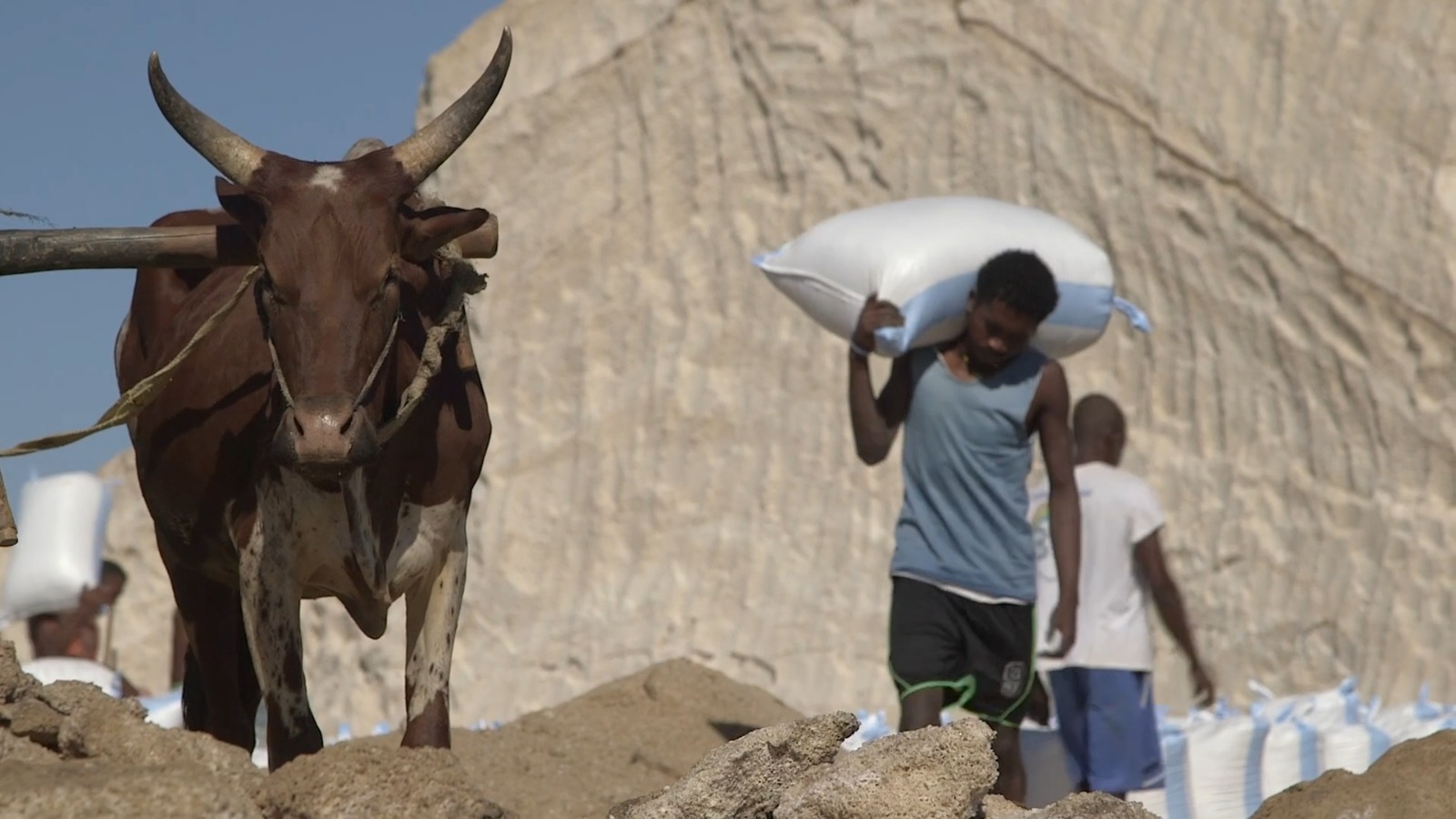 Capture ile etait une fois 6