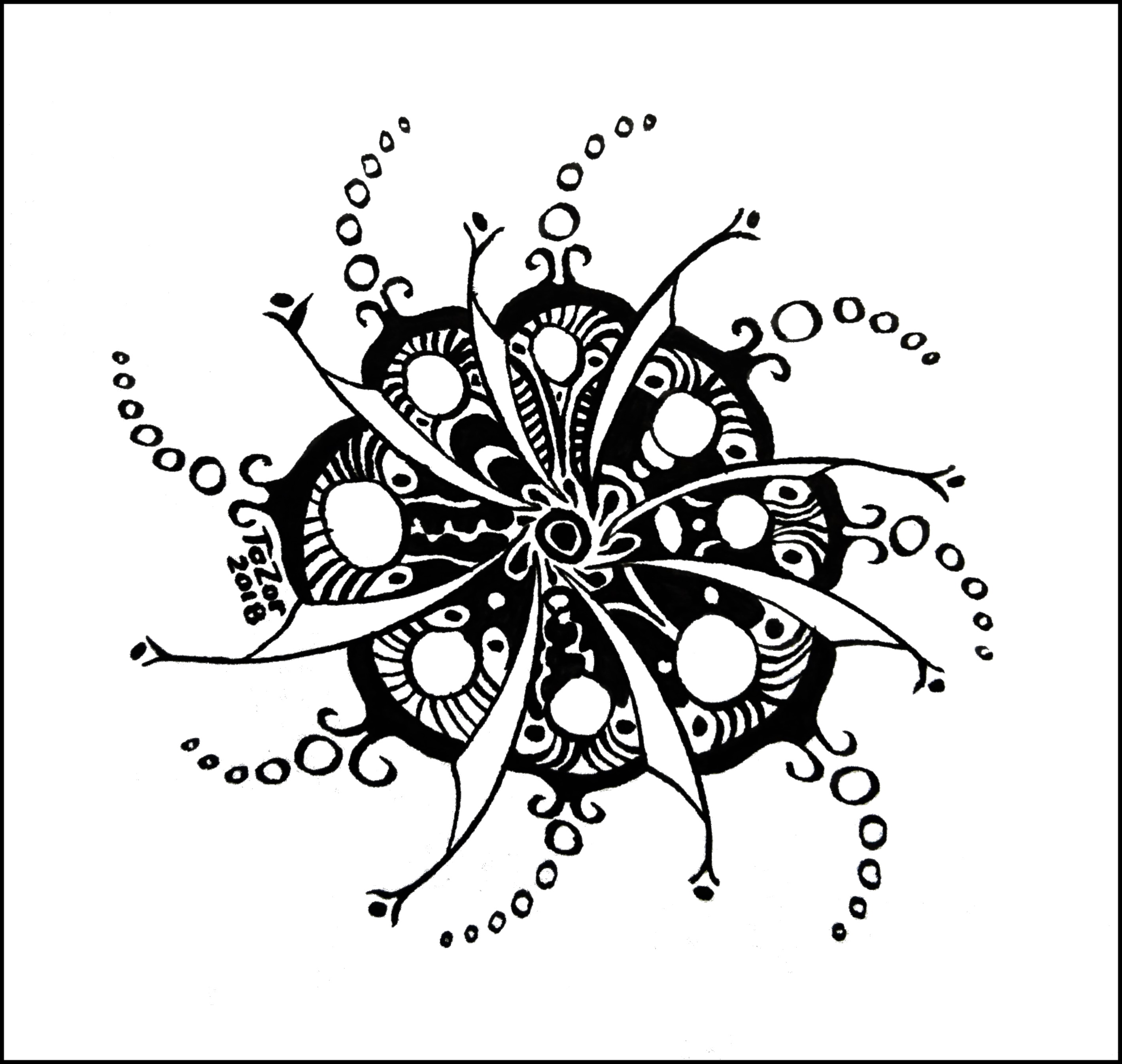 Octo quidam traite 