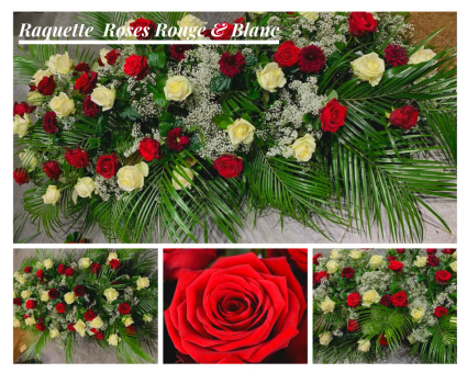 3 raquette roses rouge blanc