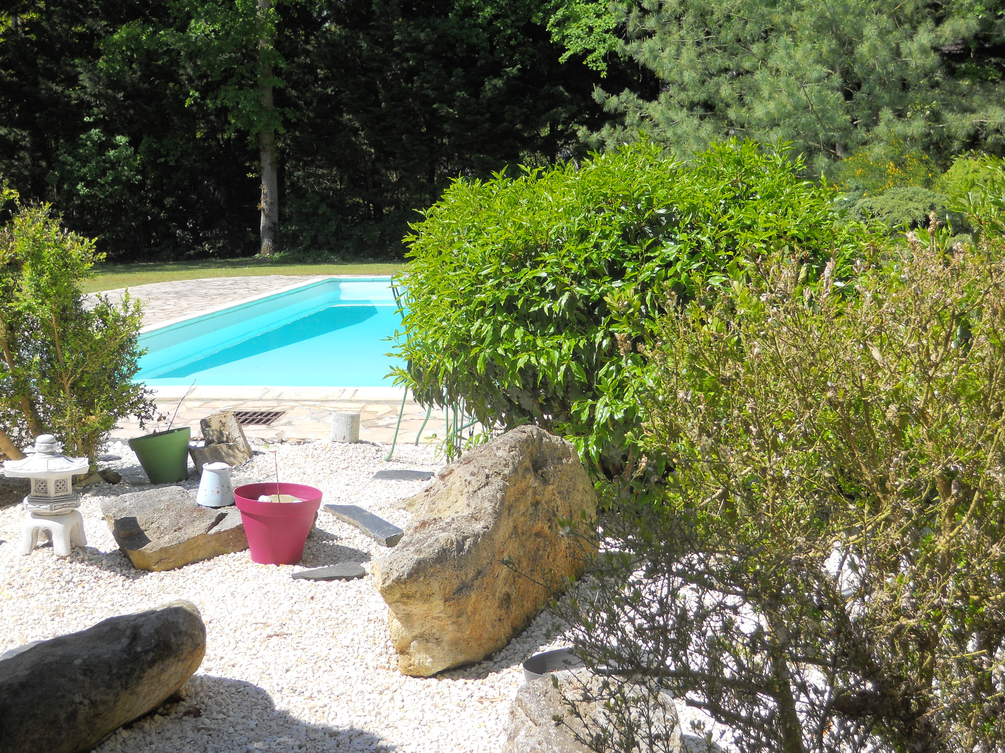 Vue piscine et jardin japonais