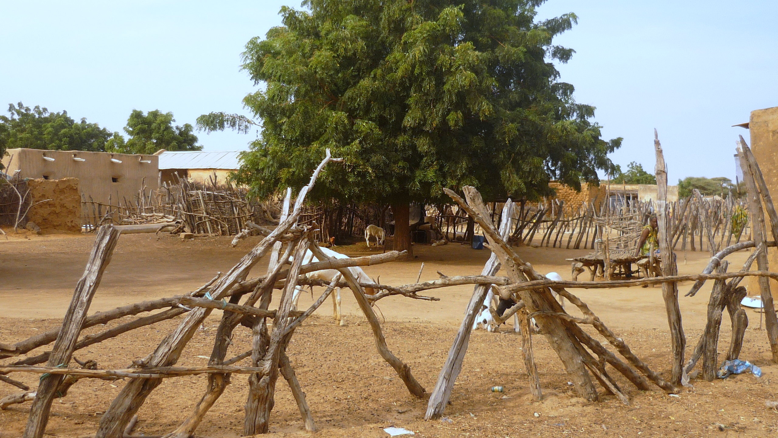 2010 11 village 9 