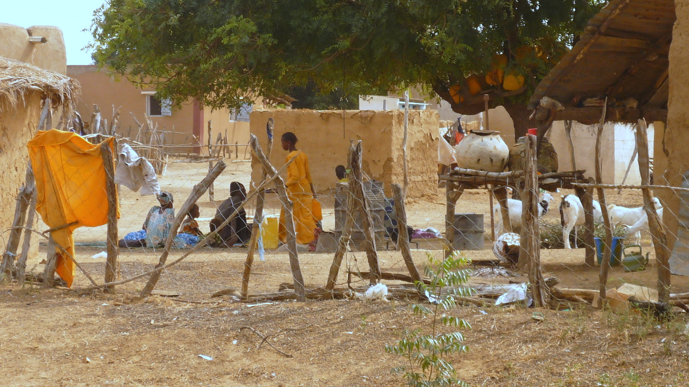 2010 11 village 16 
